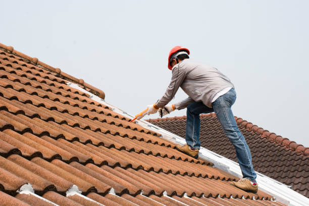 Best Roof Moss and Algae Removal  in Stuarts Draft, VA
